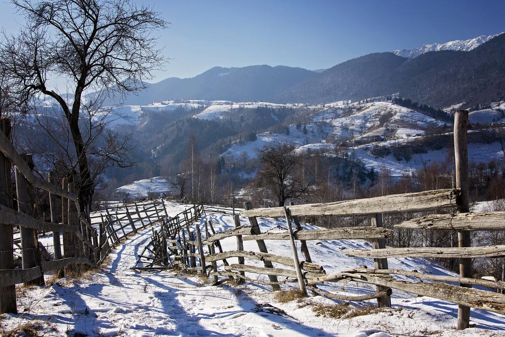 Samedru Hotel Măgura Buitenkant foto