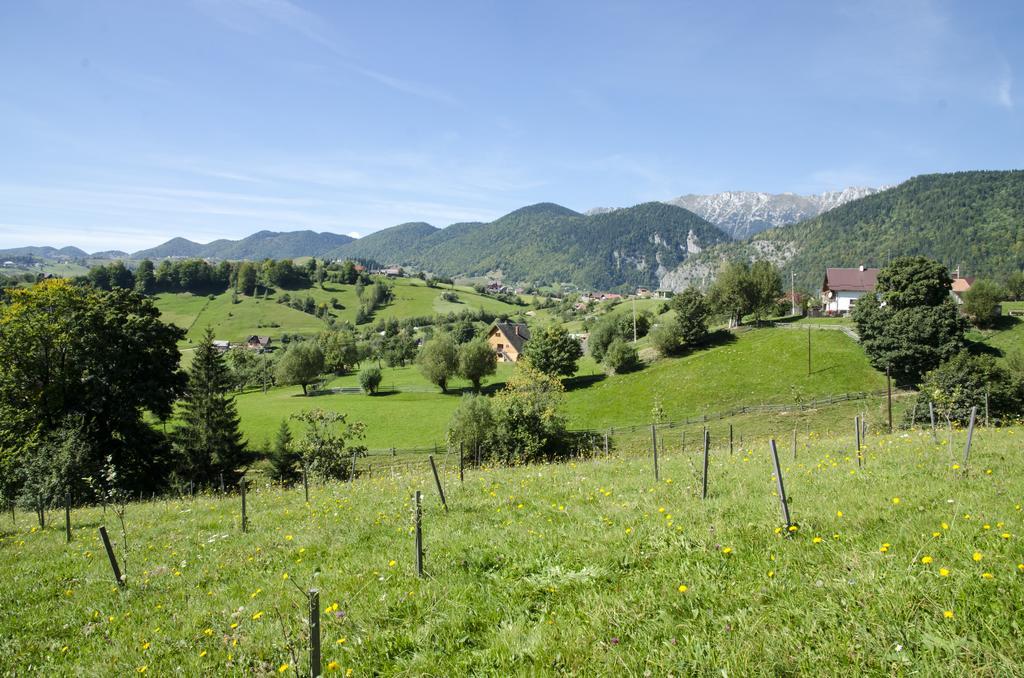Samedru Hotel Măgura Buitenkant foto