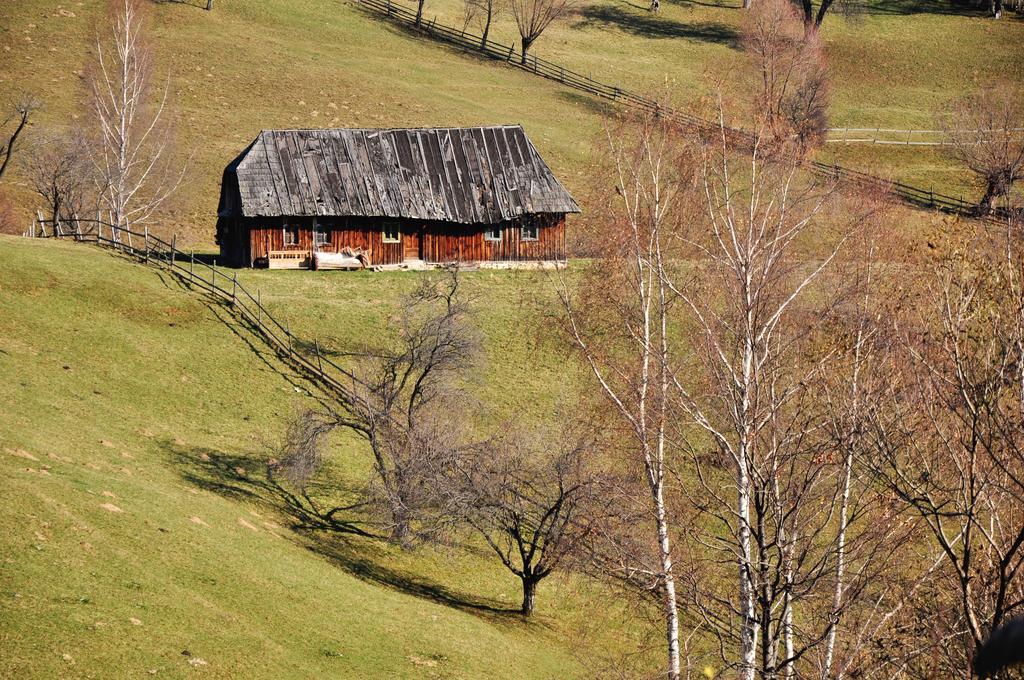 Samedru Hotel Măgura Buitenkant foto