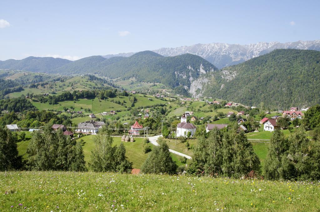 Samedru Hotel Măgura Buitenkant foto