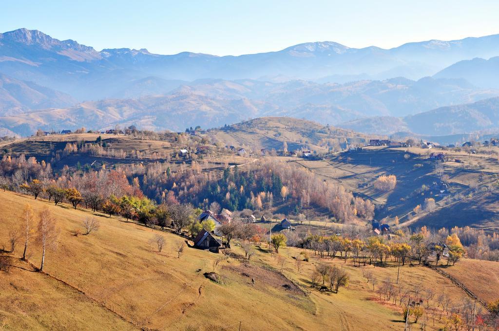 Samedru Hotel Măgura Buitenkant foto