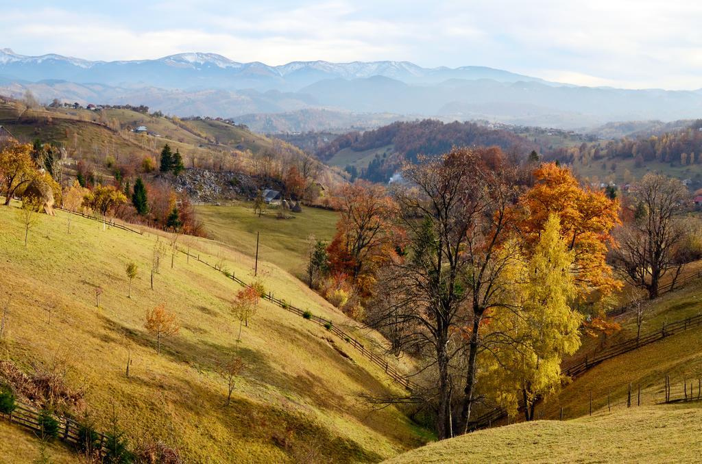 Samedru Hotel Măgura Buitenkant foto